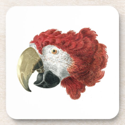 Hoofd van een Macaw (1725-1792) Aert Schouman Bier Onderzetter (Voorkant)