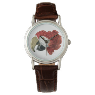 Hoofd van een Macaw (1725-1792) Aert Schouman Horloge