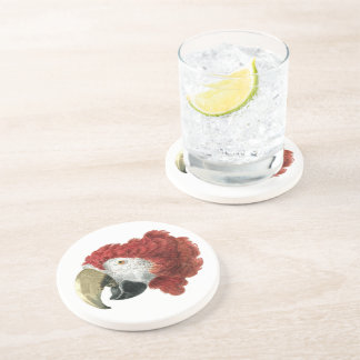 Hoofd van een Macaw (1725-1792) Aert Schouman Zandsteen Onderzetter