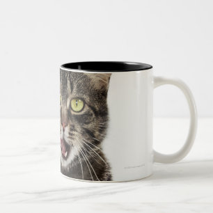 Hoofd van een mannelijk tafeltje, kattenlikkend tweekleurige koffiemok
