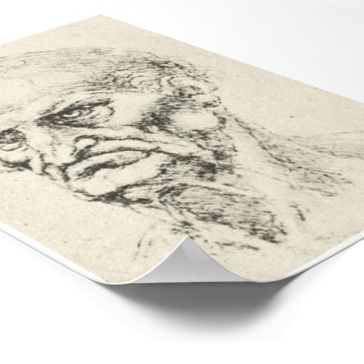 Hoofd van een oud Man, Leonardo da Vinci Poster (Hoek)
