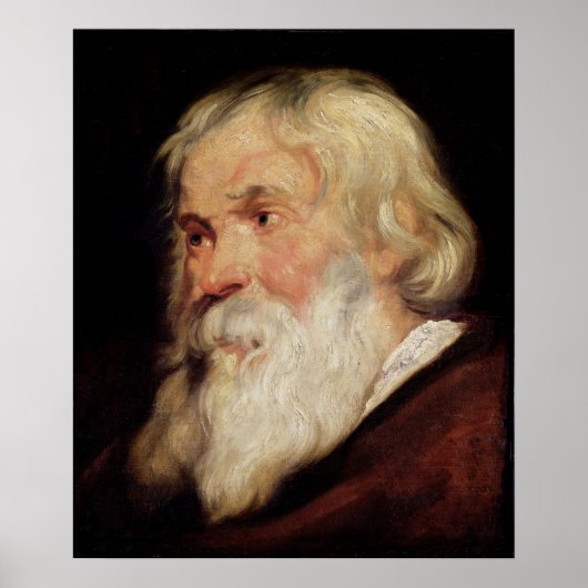 Hoofd van een oud Man Poster (Voorkant)
