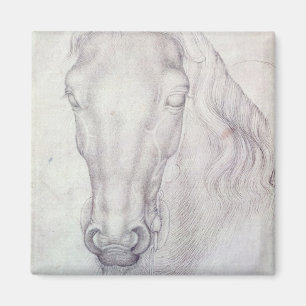 Hoofd van een paard magneet