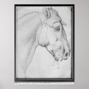 Hoofd van een paard, van het Album Vallardi Poster