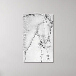 Hoofd van een paard, van het Album van de Vallardi Canvas Afdruk