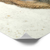 Hoofd van een Roe Deer Poster (Hoek)