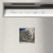 Hoofd van Medusa Magneet (Insitu (Vaatwasser))