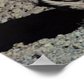 Hoofd van Zeus-Oromandes en godin Poster (Hoek)