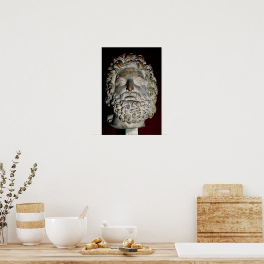 Hoofd van Zeus Poster (Keuken)
