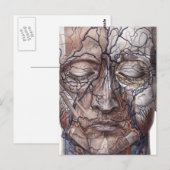 Hoofd Veinen en spieren Briefkaart (Voorkant / Achterkant)