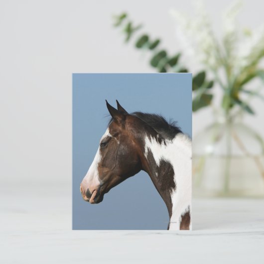 Hoofd verf paard 1 briefkaart (Staand voorkant)