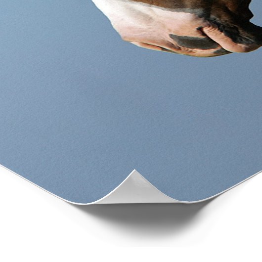 Hoofd verf paard 1 poster (Hoek)