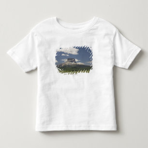 Hoofdbergbeklimmen met graasvee kinder shirts