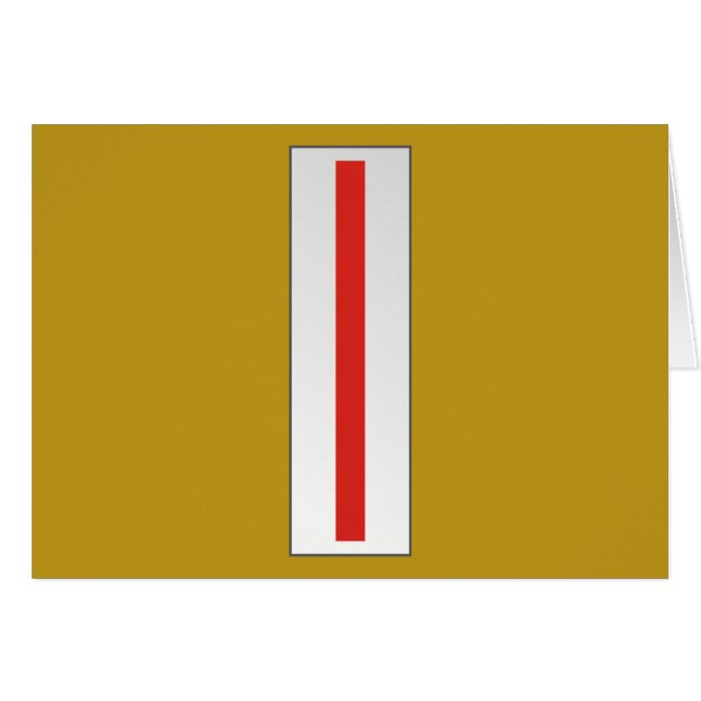 Hoofdbevelhebber van USMC CWO5 W-5 (Voorkant Horizontaal)