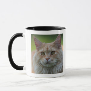 Hoofddekmantel Mok