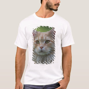Hoofddekmantel T-shirt