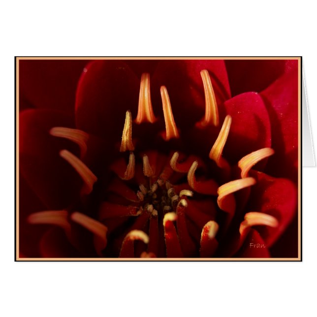 hoofddoek (Voorkant Horizontaal)