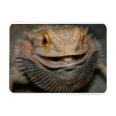 hoofddraak magneet (Horizontaal)