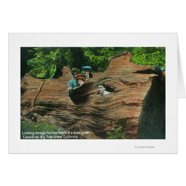 Hoofden blootgesteld in Knot Holes van Giant Redwo (Voorkant Horizontaal)