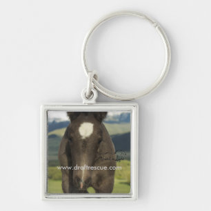 Hoofdketen, UIL Sleutelhanger
