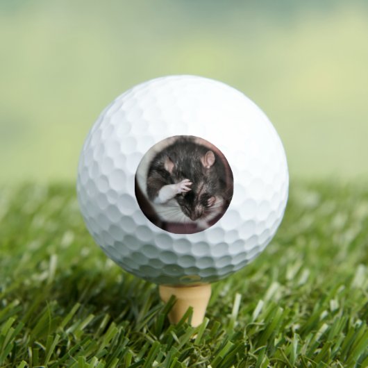 Hoofdpijn! Golfballen (Insitu Shirt)