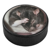 Hoofdpijn Hockey Puck (3/4)