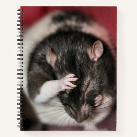 Hoofdpijn Notitieboek (Voorkant)