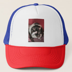 Hoofdpijn Trucker Pet