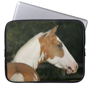 Hoofdschot 2 van het schilderpaard laptop sleeve