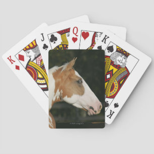 Hoofdschot 2 van het schilderpaard speelkaarten