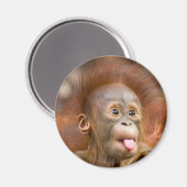 Hoofdzaken 2 magneet (Voorkant / Achterkant)