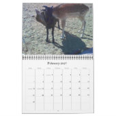 HoofsnHorns Boerderij 2009 Calender Kalender (Feb 2027)