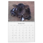 HoofsnHorns Boerderij 2009 Calender Kalender (Jan 2026)