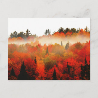 Hooggebergte in het herfst van Peaks Adirondacks Briefkaart