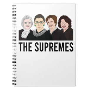 Hooggerechtshof Vrouwen, Ruth Bader Ginsburg Notitieboek