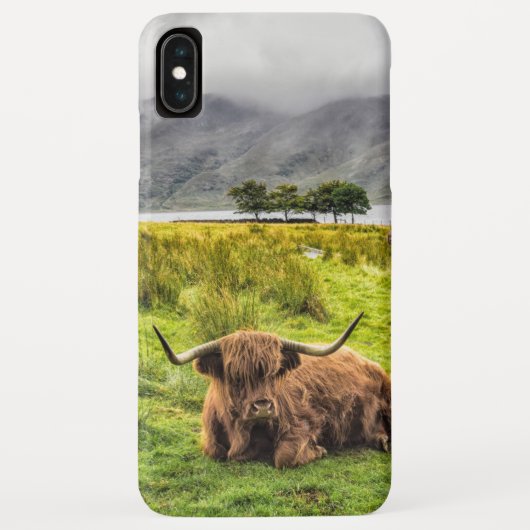 Hoogland Cow iPhone / iPad case (Achterkant)