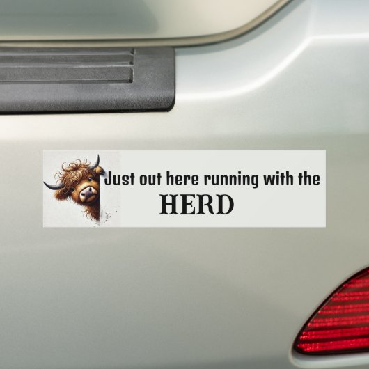 Hoogland Koe Bumpersticker (Op auto)