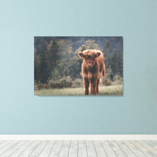 Hoogland koe kalf herfstgrasveld canvas afdruk (Insitu (Houten vloer))