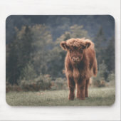 Hoogland koe kalf herfstgrasveld muismat (Voorkant)