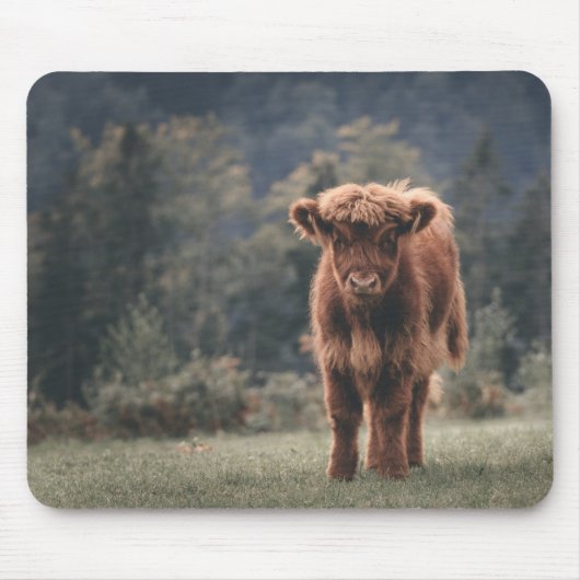 Hoogland koe kalf herfstgrasveld muismat (Voorkant)