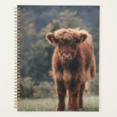 Hoogland koe kalf herfstgrasveld planner (Voorkant)