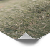 Hoogland koe kalf herfstgrasveld poster (Hoek)