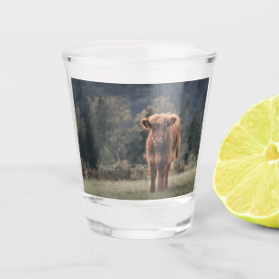 Hoogland koe kalf herfstgrasveld shot glas