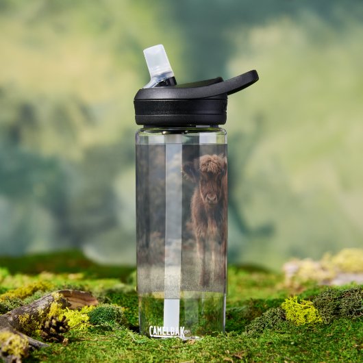 Hoogland koe kalf herfstgrasveld waterfles (Buiten)