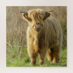 Hoogland Koe Legpuzzel