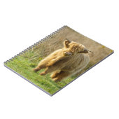 Hoogland Koe Notitieboek (Linkerzijde)