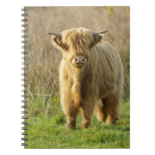 Hoogland Koe Notitieboek