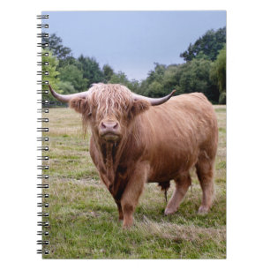 Hoogland Koe Notitieboek