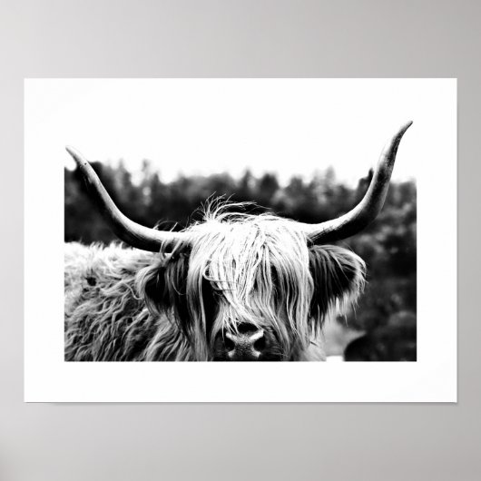 Hoogland Koe Rustic Boho Chic Black en White Poster (Voorkant)
