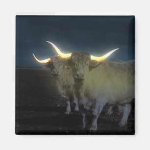 Hoogland Koeien in de donker, Fridge Magnet Magneet